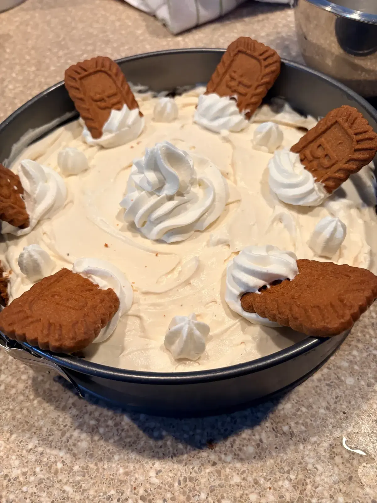 Biscoff cheesecake with whipped cream rosettes